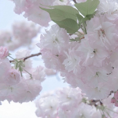 Furry插画背景绘制FurryQQ群